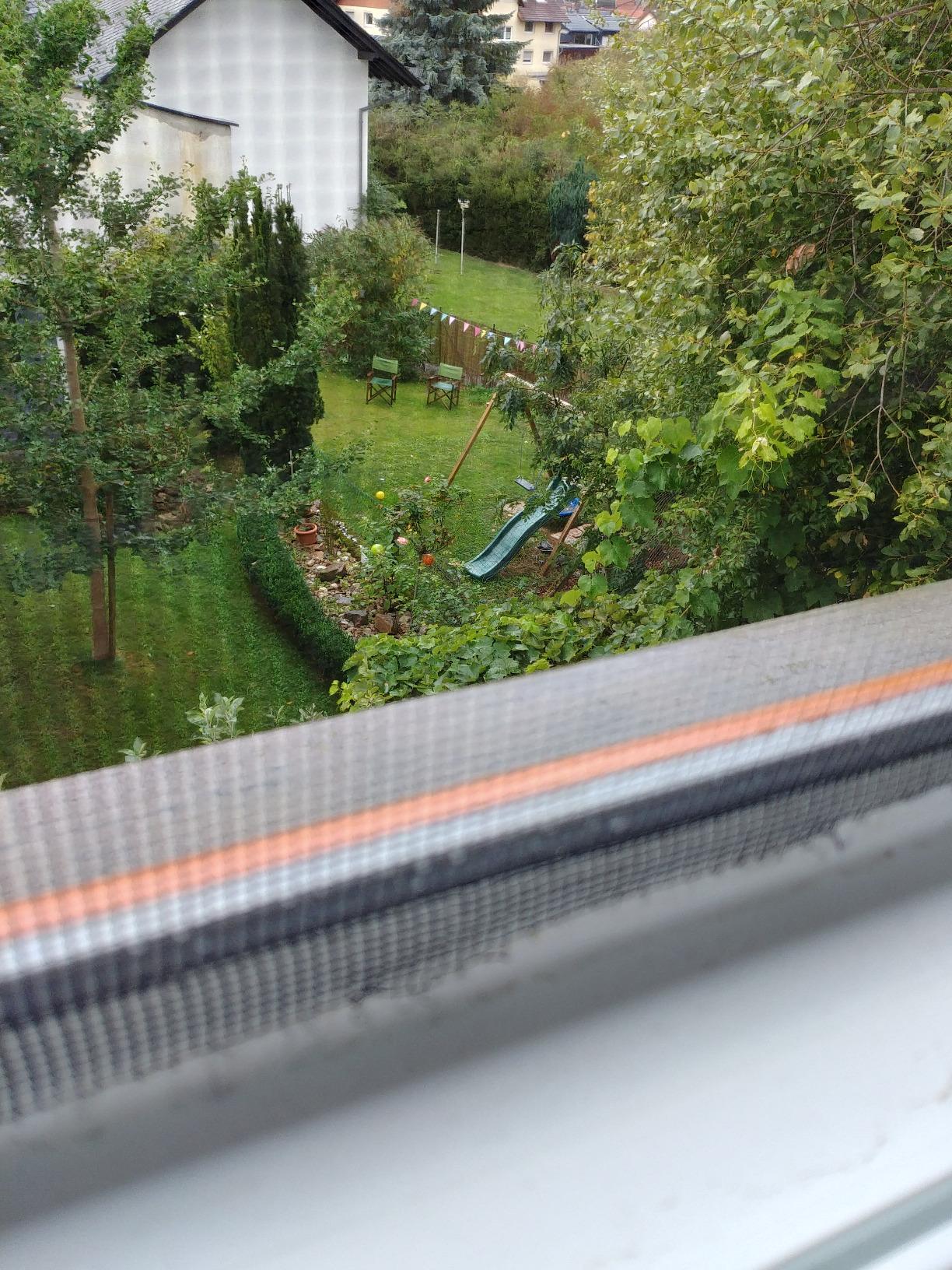 Hält am Fenster