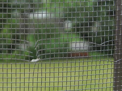 Passt am Fenster