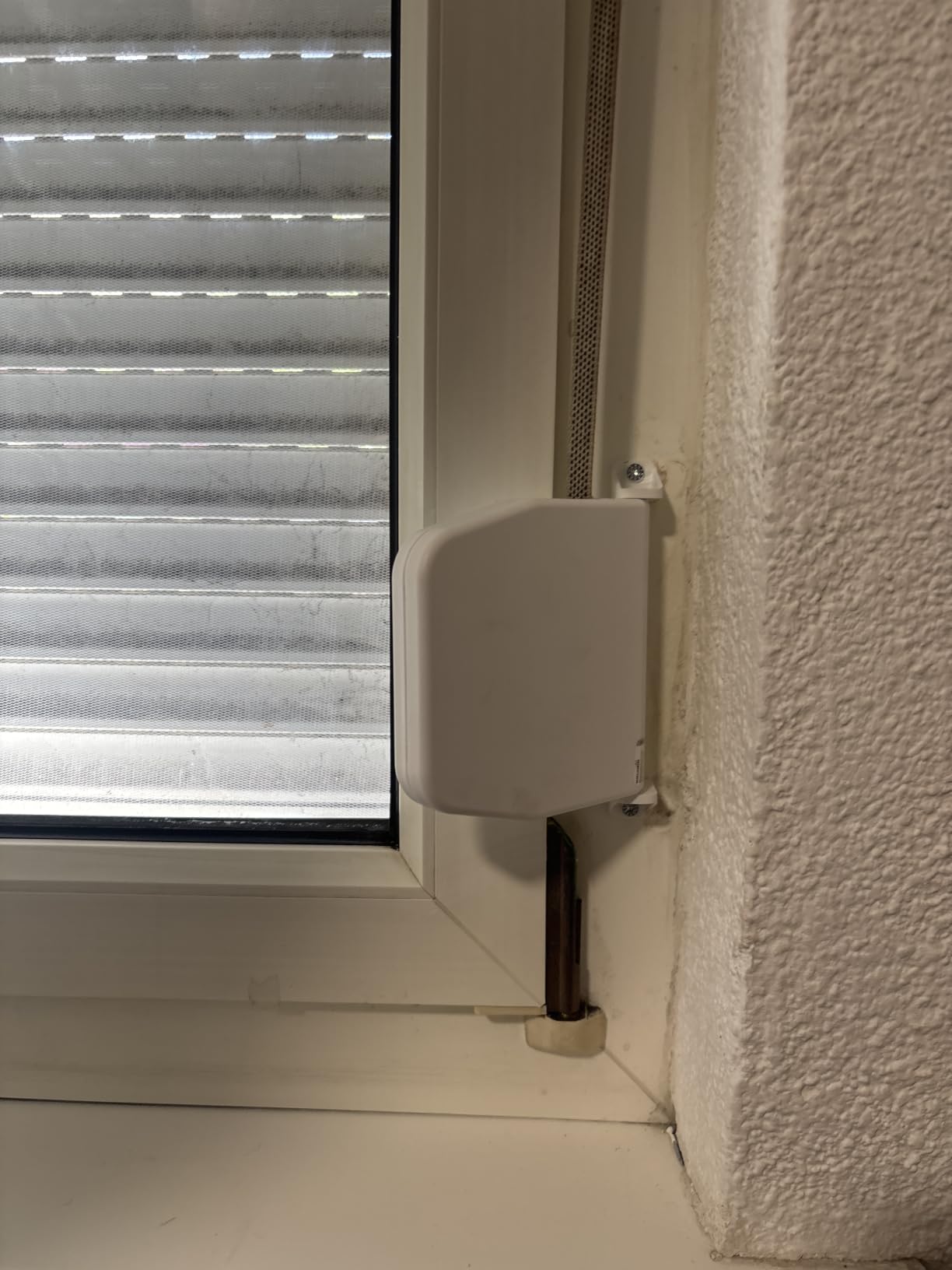 Gurt läuft gut