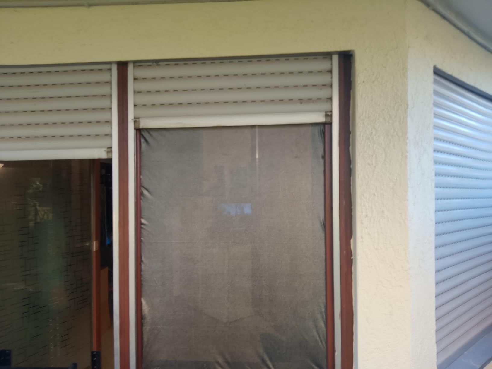 Fest am Fenster