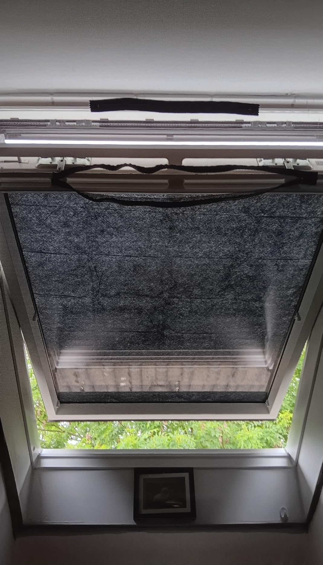 Hält am Fenster